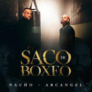 Nacho Ft. Arcángel – Saco De Boxeo